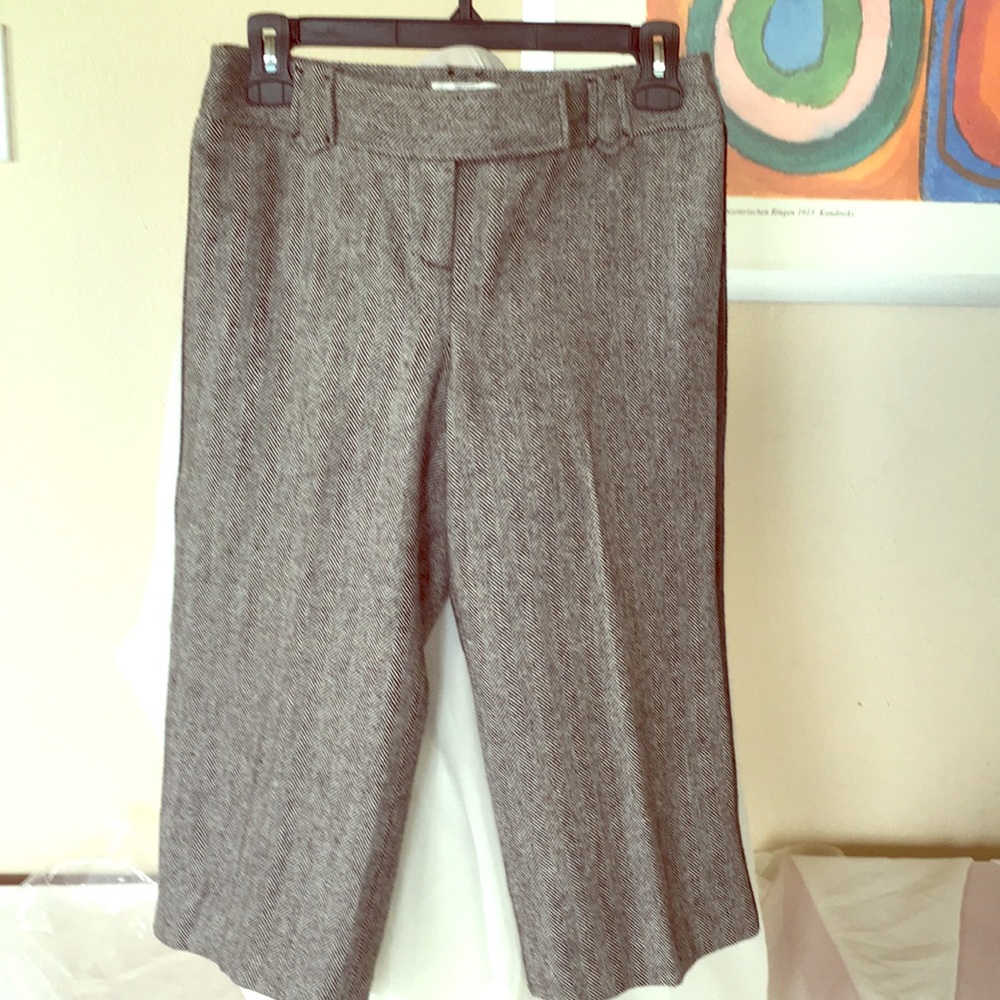 Ann Taylor Loft Capri.   B 019